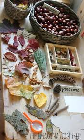 Autumn Nature Exploration Table The Imagination Tree Autumn Nature Nature Table Imagination Tree