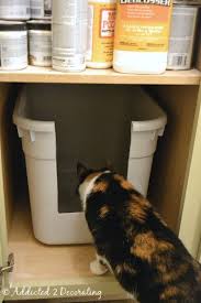 Yes This Really Is A Post About A Cat Litter Box Addicted 2 Decorating Cat Litter Cat Care Litter Box