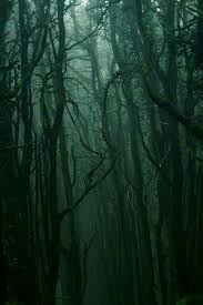 84 Green Academia Ideas Slytherin Aesthetic Green Aesthetic Dark Green Aesthetic It's where your interests connect. 84 green academia ideas slytherin