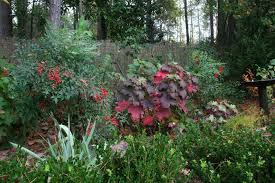 Helen S Haven Fall Woodland Gardens One And Too Woodland Plants Garden Landscape Design Woodland Garden