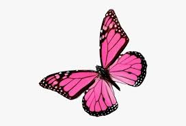 Check spelling or type a new query. Flying Pink Butterfly Png Image Background Pink Butterfly Transparent Background Png Download Kindpng