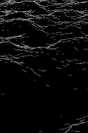 Get free black and white icons in ios, material, windows and other design styles for web, mobile, and graphic design projects. Aesthetic Black And White Wallpaper Gif Novocom Top