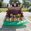 From homecoming to a holiday, stumps party has the supplies you need to create a fantastically memorable float without creating a budget problem. 1