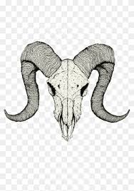 The goat has it long. Black And White Bull Skull Art Skull Tattoo Drawing Sketch Goat Skull Ink Animals Head Png Pngwing