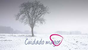The native language spoken in this region of california. Conoces Las Causas De Soledad De Las Personas Mayores Cuidado Mayor