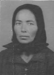 Setschanfeld (Secenovo/Duzine) Family History