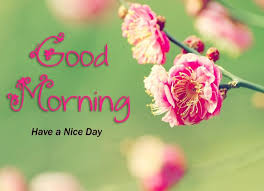 We did not find results for: Good Morning Images With Nature Quotes Download