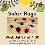 Solar Bugs