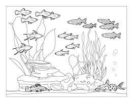 All aquarium coloring page pages book with fish. Aquarium Coloring Pages Best Coloring Pages For Kids