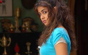 genelia d souza hd wallpapers movie hd wallpapers genelia d souza hd wallpapers movie