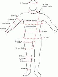 Pin By Towanda On Projects To Try Body Measurement Chart