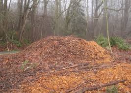 *please give your best description of where you would like the wood chips dropped. Arborist Wood Chips Are Often Available Free Of Charge Download Scientific Diagram