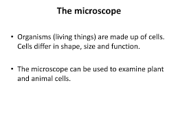 Animal cells differ in shape. 2 Cells The Microscope Ppt Download