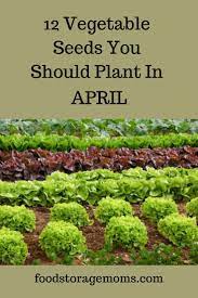 Plant In April Backyard Vegetable Gardens Home Vegetable Garden Plants