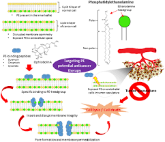 This exciting quiz will answer all of your questions on. Frontiers Targeting Membrane Lipid A Potential Cancer Cure Pharmacology