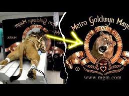 Movie studio home to the james bond franchise, for $8.45 billion, giving it a huge library of films and tv shows and ramping up. Wn Metro Goldwyn Mayer