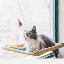 Oster sunny seat window mounted cat bed gives your kitty elevated views of nature and the neighborhood without taking up valuable space in your home. Sunny Seat Window Mounted Cat Bed Hammock Perch Ebay