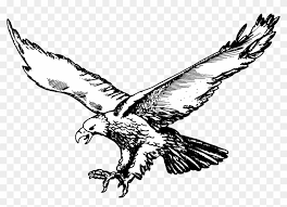 Golden eagle on white vector. Philadelphia Eagles Logo Png Transparent Svg Vector Philadelphia Eagles Logo Png Transparent Svg Vector Free Transparent Png Clipart Images Download