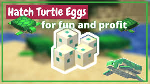 To breed turtles, you will need at least 2 seagrass, which can be found in ocean biomes. How To Hatch Turtle Eggs In Minecraft Java Bedrock Pe Youtube