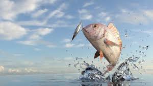 Tafsie mimpi tangkap ikan dengan tangan mengindikasikan bahwa anda akan segera membuat orang kecewa akibat perbuatan yang anda lakukan. 8 Arti Mimpi Menangkap Ikan Segera Mendapat Keberuntungan Dan Rezeki Halal Tribun Jogja