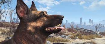 Fallout 4 All Companions Locations And Quests Shacknews