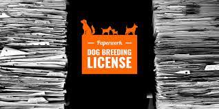 Dog Breeding License Requirements Process Fees Renewal