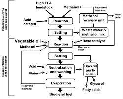 Originally formed under the name manic subsidal, the band's lineup consists of lead vocalist and guitarist bryan dexter holland, bassist todd morse, guitarist kevin noodles wasserman and drummer pete parada. Two Stage Process 1 Esterification Of High Free Fatty Acids By Acid Download Scientific Diagram