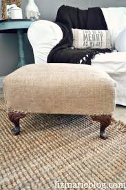 تنجيب بعض الكنب أنثى