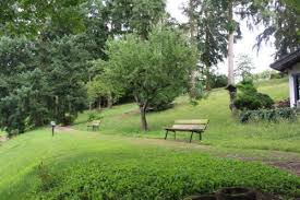 Schauen sie sich 0 bilder an und lesen sie 43 bewertungen. A Hotel Com Haus Am Wald Gasthaus Eltmann Deutschland Preis Bewertungen Reservierung Kontakt