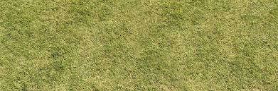 Check spelling or type a new query. 30 Free High Resolution Grass Textures Naldz Graphics