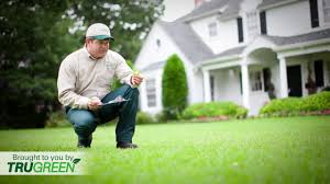 Plus, our healthy lawn guarantee® means we'll gladly visit your property as often as needed between scheduled visits to make any necessary adjustments and. Frequently Asked Questions