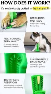Dental treatment step by step. Political Dental Care Interior Teethwhiteningbali Dentalcarecavities Brushing Teeth Dog Toothbrush Dog Dental Care