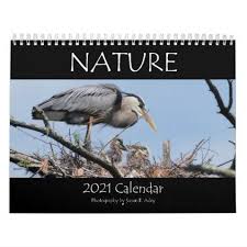 2021 Nature Calendar Zazzle Com In 2020 Nature Calendar Custom Holiday Card Calendar