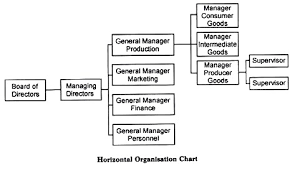 organisation chart meaning principle and merits