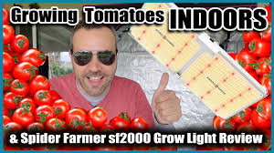 What is the best growing light for tomatoes? Growing Vegetables Indoors Tomatoes And Led Grow Light Review Youtube