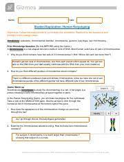 Carbon cycle (answer key) june 04, 2019 student. Human Karyotyping Gizmo Pdf Name Date Student Exploration Human Karyotyping Directions Follow The Instructions To Go Through The Simulation Respond To Course Hero