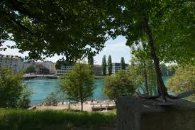 Rhone Swimming C Geneve Tourisme Olivier Miche Geneve Tourisme Visiter Geneve Tourisme