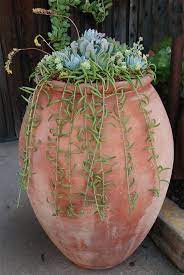 Find large indoor plant pots. 32 Large Terracotta Pots Ideas Terracotta Pots Large Terracotta Pots Terracotta