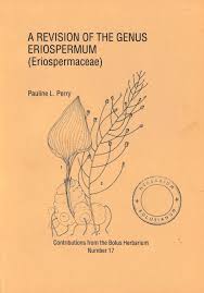 Image result for Eriospermaceae
