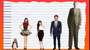 Kendall jenner was born in los angeles, california, usa (november 3, 1995). How Tall Is Kendall Jenner Height Comparison Video Dailymotion