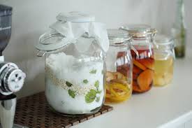 梅のおいしさを存分に抽出。米麹で発酵させた「梅麹シロップ」のつくり方｜おうちで発酵体験レシピ