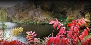 From traditional tent to luxurious cabin camping, koa has you covered. West Lake Park 2 Photos Sioux City Ia Roverpass