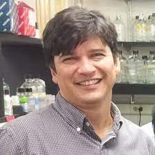 Funding this work was supported by nih ca116477, ca184228, ca134675, ca183031, ca157542, and eb005324 and in part by the intramural research program of the nih, national cancer institute, and center for cancer. Mauricio Reginato Professor Tenured Phd Drexel University College Of Medicine Philadelphia Department Of Biochemistry Molecular Biology