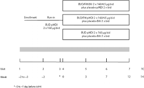 flow chart of study design bai breath actuated metered