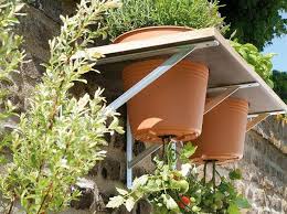 Toom Kreativwerkstatt Upside Down Tomate Tomaten Garten Garten Pflanzen Garten