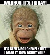 Who S With Me Tgif Funny Good Morning Memes Morning Quotes Funny Good Morning Funny Pictures
