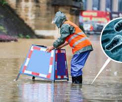 Floodwater Contamination: The Most Common Diseases & How to Avoid Them –  Aussie Pharma Direct