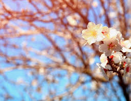 We did not find results for: Archivy Prvy Jarny Den Zenysostylom Sk