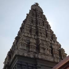 Vicky Kapure (@vicky_kapure) • Instagram photos and videos