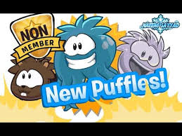 Earn a free club penguin membership card for 2017. Pin On Club Penguien